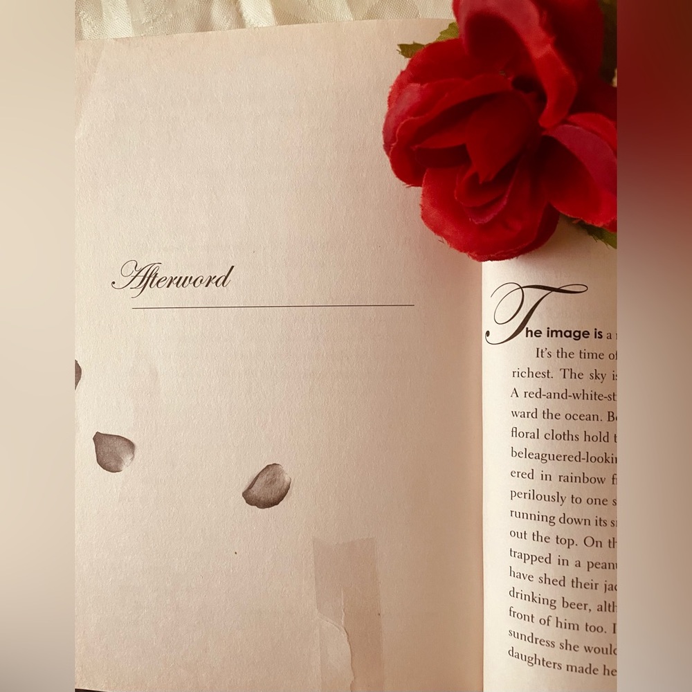 Rose Bush Book By Michele Jaffe (326 Pages)RAZORBILL By PenguinGroup - Picture 8 of 8